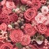 sho_pink